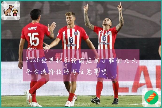 2026世界杯竞猜前应该了解的几大平台选择技巧与注意事项