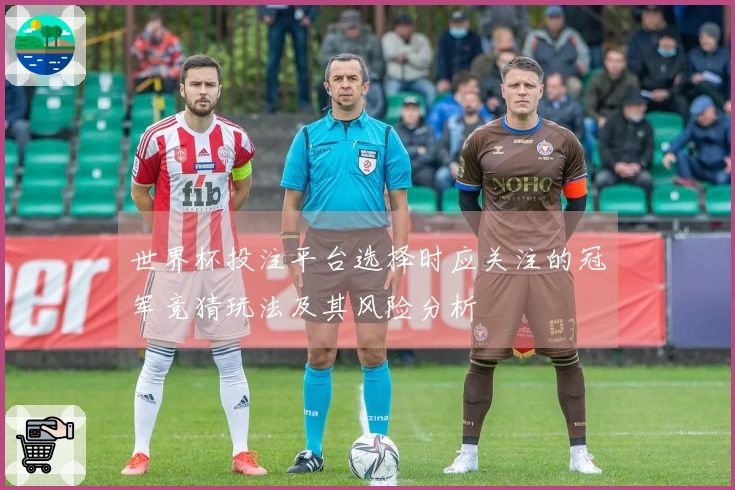 世界杯投注平台选择时应关注的冠军竞猜玩法及其风险分析