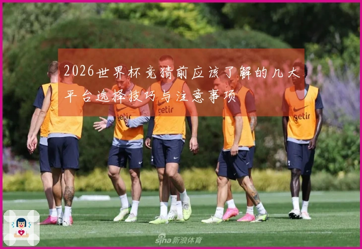 2026世界杯竞猜前应该了解的几大平台选择技巧与注意事项