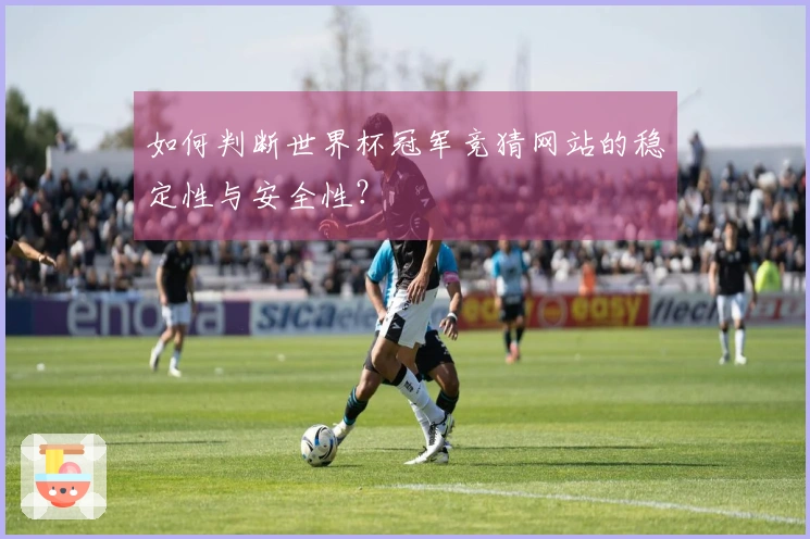 如何判断世界杯冠军竞猜网站的稳定性与安全性？