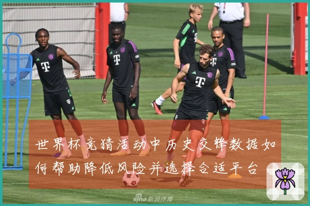 世界杯竞猜活动中历史交锋数据如何帮助降低风险并选择合适平台
