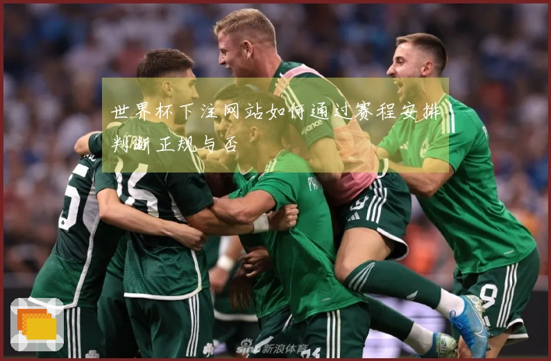 世界杯下注网站如何通过赛程安排判断正规与否