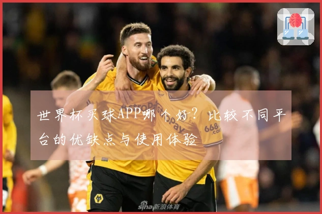 世界杯买球APP哪个好？比较不同平台的优缺点与使用体验
