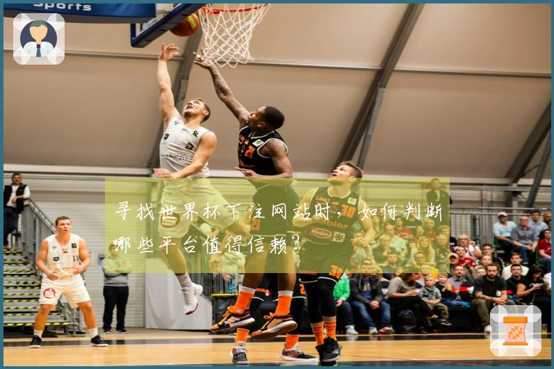 寻找世界杯下注网站时，如何判断哪些平台值得信赖？