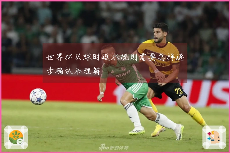 世界杯买球时返水规则需要怎样逐步确认和理解
