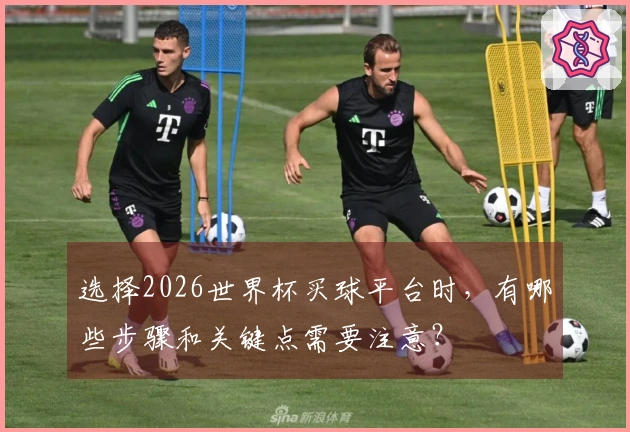 选择2026世界杯买球平台时，有哪些步骤和关键点需要注意？