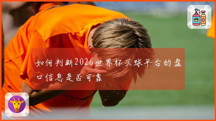 如何判断2026世界杯买球平台的盘口信息是否可靠