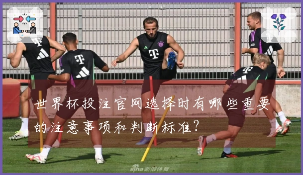 世界杯投注官网选择时有哪些重要的注意事项和判断标准？