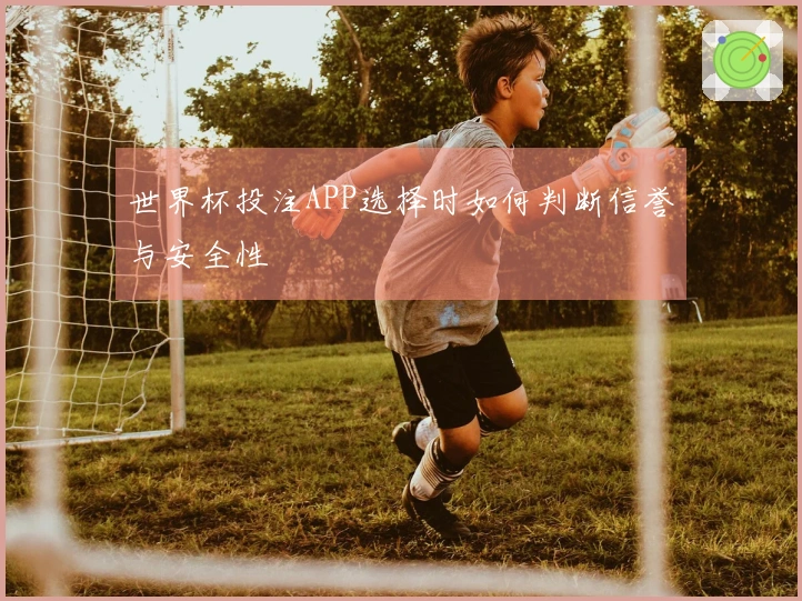 世界杯投注APP选择时如何判断信誉与安全性