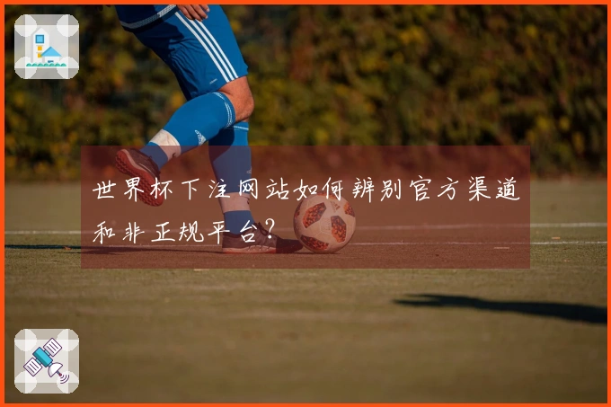世界杯下注网站如何辨别官方渠道和非正规平台？