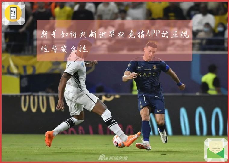 新手如何判断世界杯竞猜APP的正规性与安全性