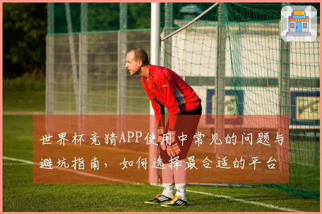 世界杯竞猜APP使用中常见的问题与避坑指南，如何选择最合适的平台？