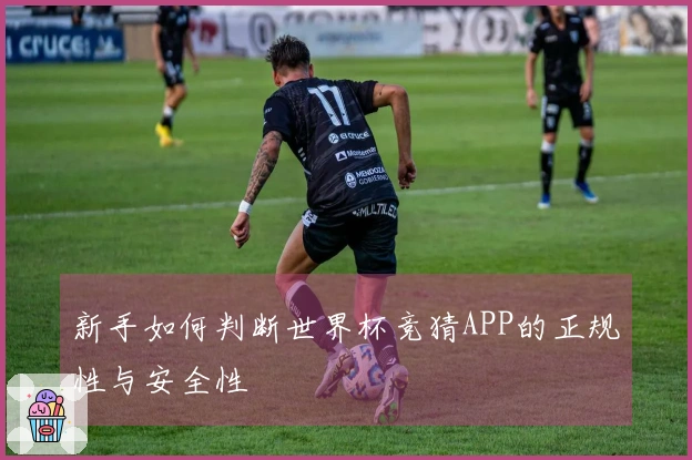 新手如何判断世界杯竞猜APP的正规性与安全性