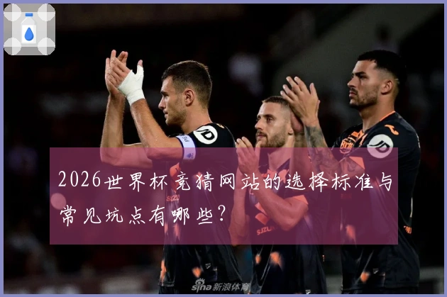 2026世界杯竞猜网站的选择标准与常见坑点有哪些？