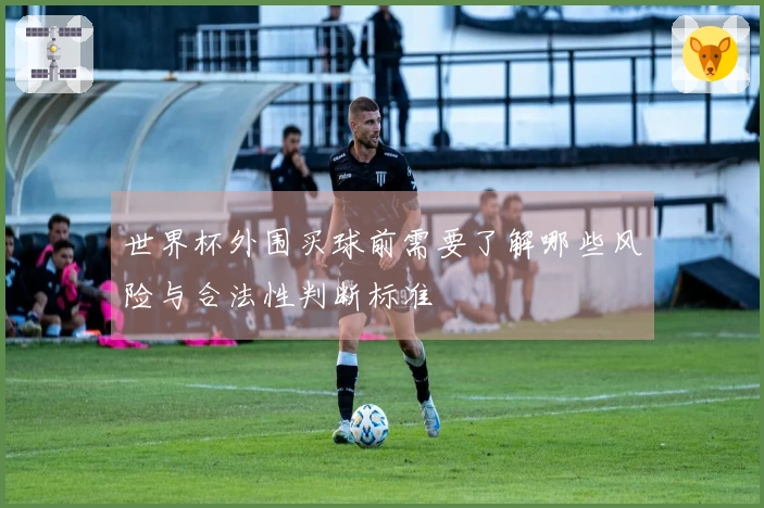 世界杯外围买球前需要了解哪些风险与合法性判断标准