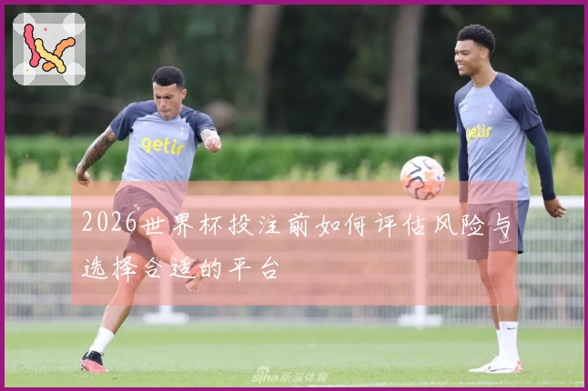 2026世界杯投注前如何评估风险与选择合适的平台