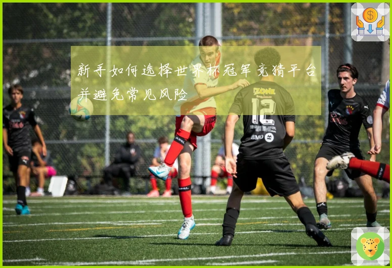 新手如何选择世界杯冠军竞猜平台并避免常见风险