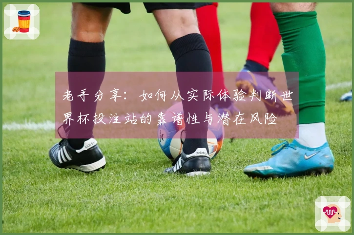老手分享：如何从实际体验判断世界杯投注站的靠谱性与潜在风险