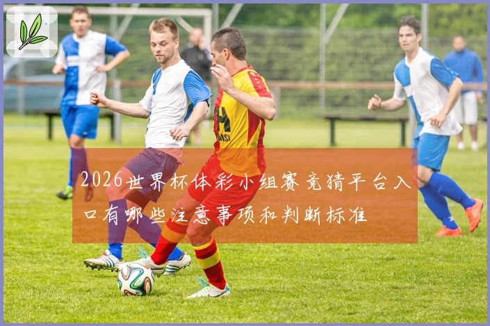 2026世界杯体彩小组赛竞猜平台入口有哪些注意事项和判断标准
