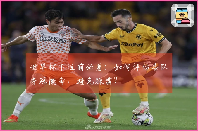 世界杯下注前必看：如何评估各队夺冠概率，避免踩雷？