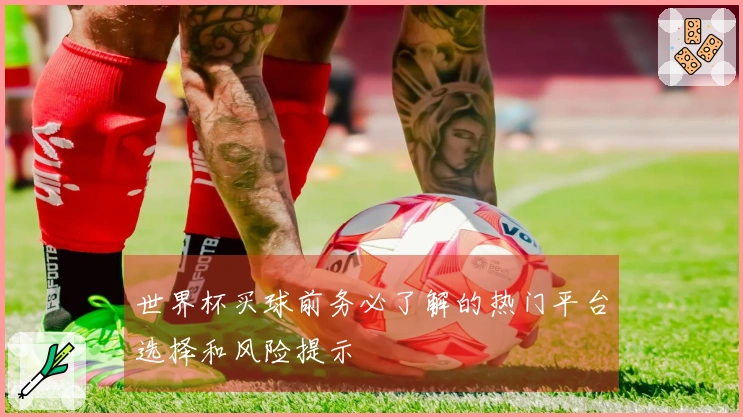世界杯买球前务必了解的热门平台选择和风险提示