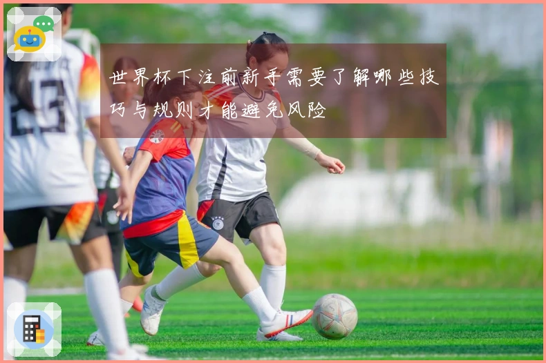 世界杯下注前新手需要了解哪些技巧与规则才能避免风险