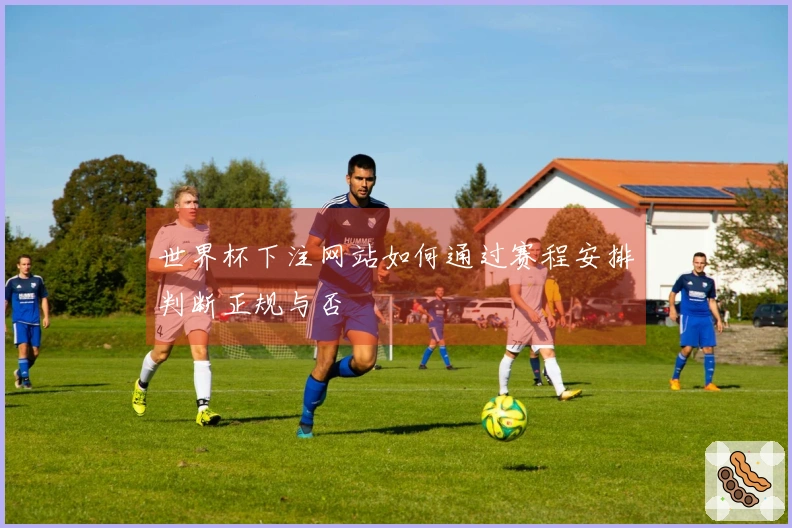 世界杯下注网站如何通过赛程安排判断正规与否